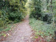 Green Lane, Sudbury Hill