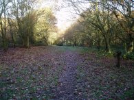 Descending from Barn Hill