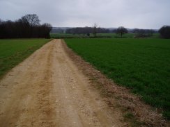  Farmland nr Bramfield Woods