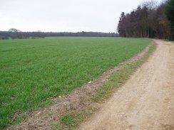  Farmland nr Bramfield Woods