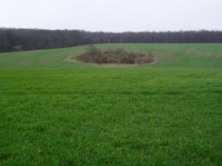 Farmland nr Bramfield Woods