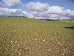 Fields nr Idle Hill, Hertfordshire