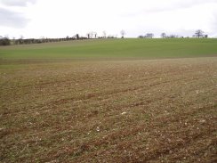 Fields nr Idle Hill, Hertfordshire