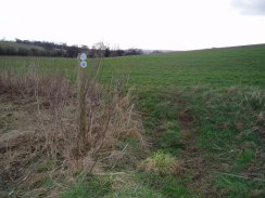 Hertfordshire Chain walk, nr High Elms Lane