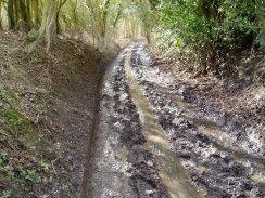 Path nr Bramfield Park Wood