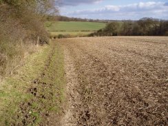 Fields Nr Hebing End