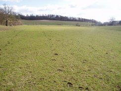 Fields nr Hebing End, Hertfordshire