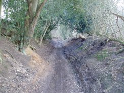 Hertfordshire Chain Walk, nr Whemstead Road