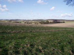 Fields nr Haultwick