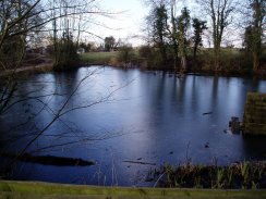 Pond, Green End, Hertfordshire