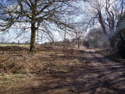 Hertfordshire Chain Walk, nr Green End