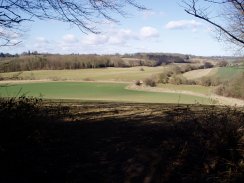 Countryside nr Green End, Hertfordshire