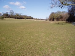 Fields nr Hebing End, Hertfordshire