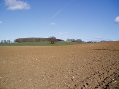 View towards Park Covert