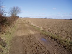 Track, nr Witnesses Wood