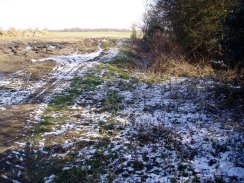 A dusting of snow