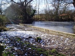 Pond, Nr Moor Green, Herts