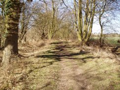 Back Lane, Roman Road