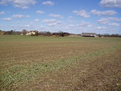 Fields Nr Cottered Warren