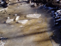 Icy puddle, Back Lane