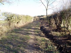 Bridleway nr Haultwick