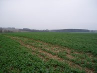 Fields nr Kelshall