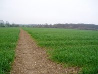 Field nr Mill End