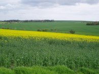 Fields nr Heath Farm