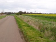 Road towards Therfield