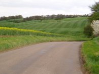 Fields nr Kelshall