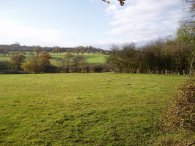 View nr Theobalds Brook