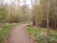 Broxbourne Woods