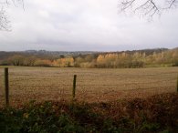 Countryside nr Little Berkhamsted