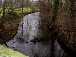 River Lea, nr Howe Green