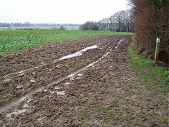 Path nr Bramfield Park Wood