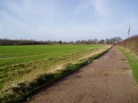 Farm track Nr Newgate Street