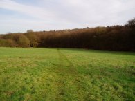 Approaching Bayford Woods