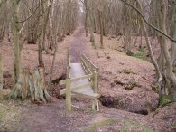 Bayford Woods