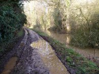 Goldings Canal