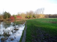 Waterford Marsh