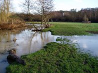 Waterford Marsh