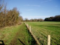 Approaching Woodhall Park