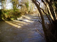 Weir, River Beane