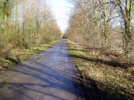 Road into Sacombe Park