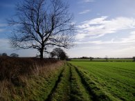 Footpath nr Bengeo Temple Farm