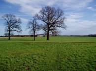 Approaching Chelsing Farm