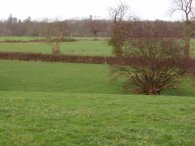 Fields nr Bengeo Temple Farm