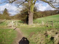 Hertfordshire Way, nr Much Hadham