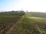 Heading towards Perry Green