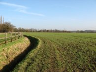 Hertfordshire Way nr Perry Green